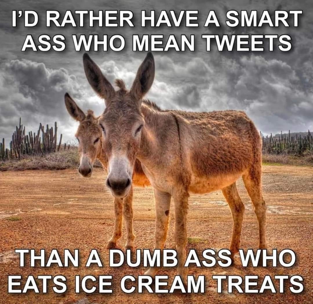 Come November. It's 
Out with the dumba$$ ice cream eater,
and
In with the smarta$$ mean tweeter!