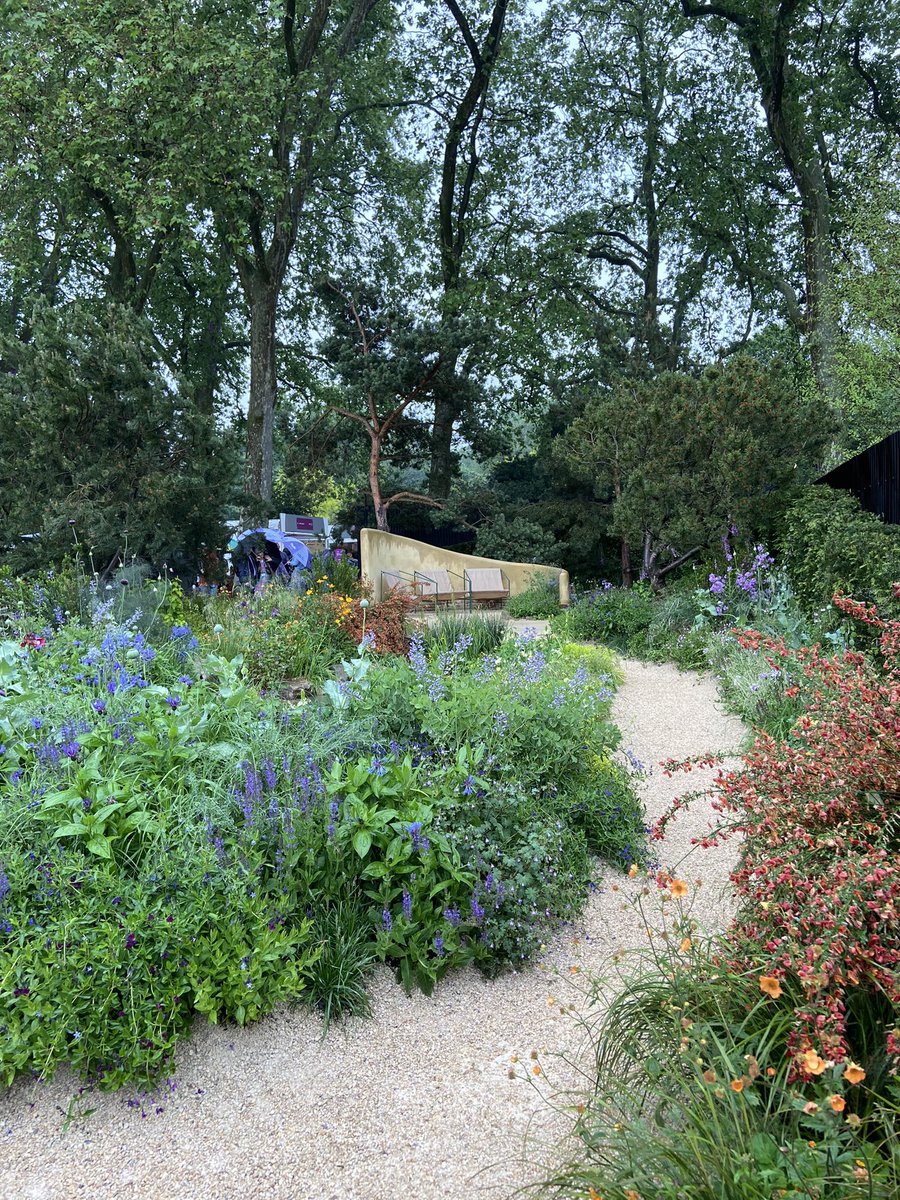 RHS Chelsea Flower Show! The Stroke Association’s Garden for Recovery - calm, reflective, resilient, connected.

My choice for the BBC / RHS People’s Choice Award! 

Vote - bbc.co.uk/programmes/art…

#strokeassociation
#miriaharris
#rhschelseaflowershow