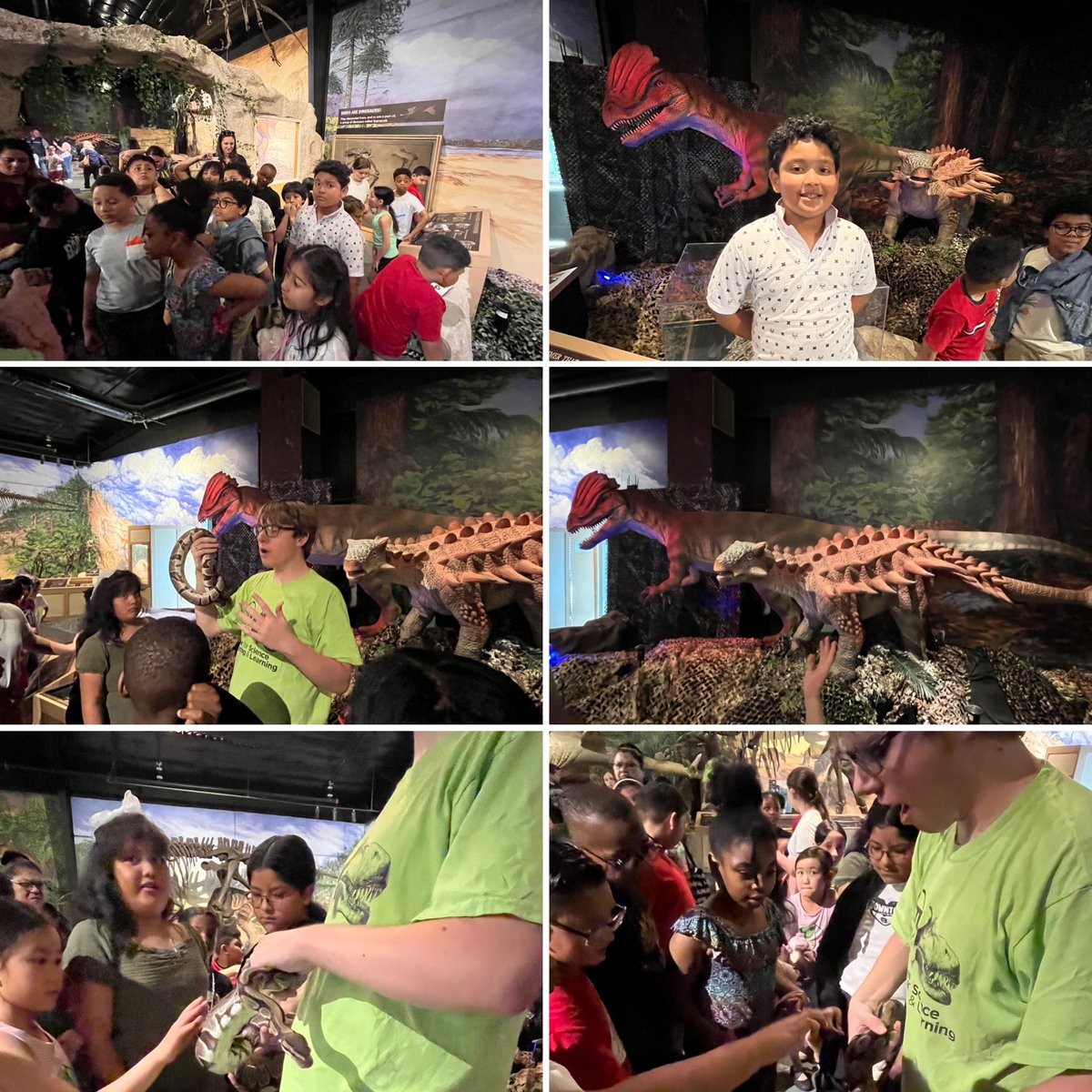 bichons42's tweet photo. The Center for Teaching Science &amp; Learning proved to be an enriching and exciting experience for all! @WhufsdRams @stellina8203 @CornwellAveES @Bridiekar @PatriciaScollo1 @MsGiovanelli @msfine_10 https://t.co/eAXkHo1mxM