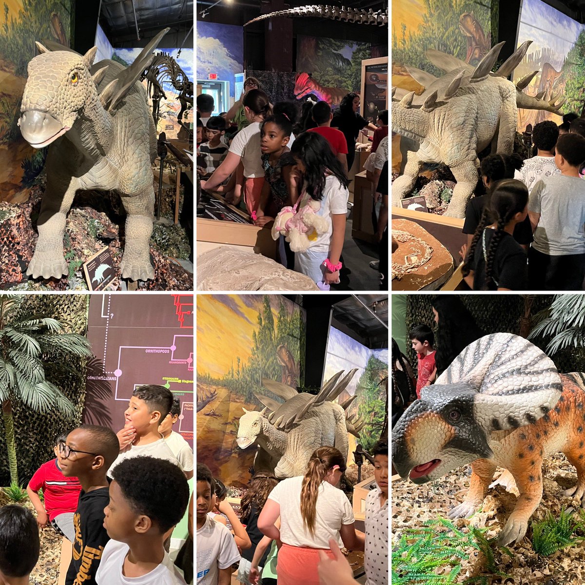 bichons42's tweet photo. The Center for Teaching Science &amp; Learning proved to be an enriching and exciting experience for all! @WhufsdRams @stellina8203 @CornwellAveES @Bridiekar @PatriciaScollo1 @MsGiovanelli @msfine_10 https://t.co/eAXkHo1mxM