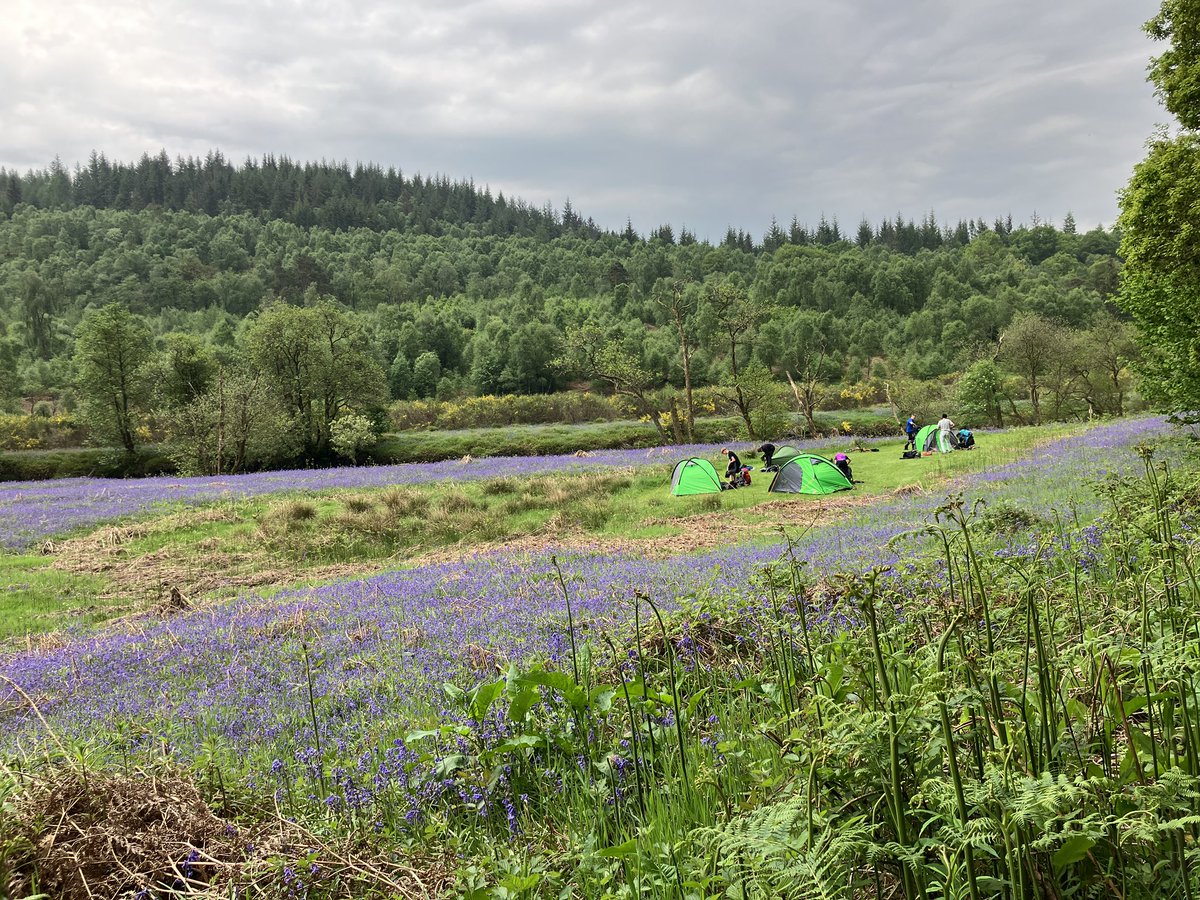 MarionMcAliste6's tweet photo. Congratulations to our Bronze Duke of Edinburgh group who have successfully completed their expedition over the last 2 days🎉🎉🎉. The weather was great, the midges were monstrous!!🦟🦟🦟 @BishopbriggsAC @GeoBishopbriggs @MissJHighton @morv3n @mst3v3ns0n https://t.co/RfW0QWlluy