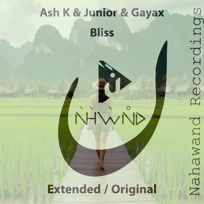 #NowPlaying️ next perfect work 7. @djashk & @DjGayax - Bliss (extended mix) [@NahawandRec] #TU413 @1mixTrance #trancefamily