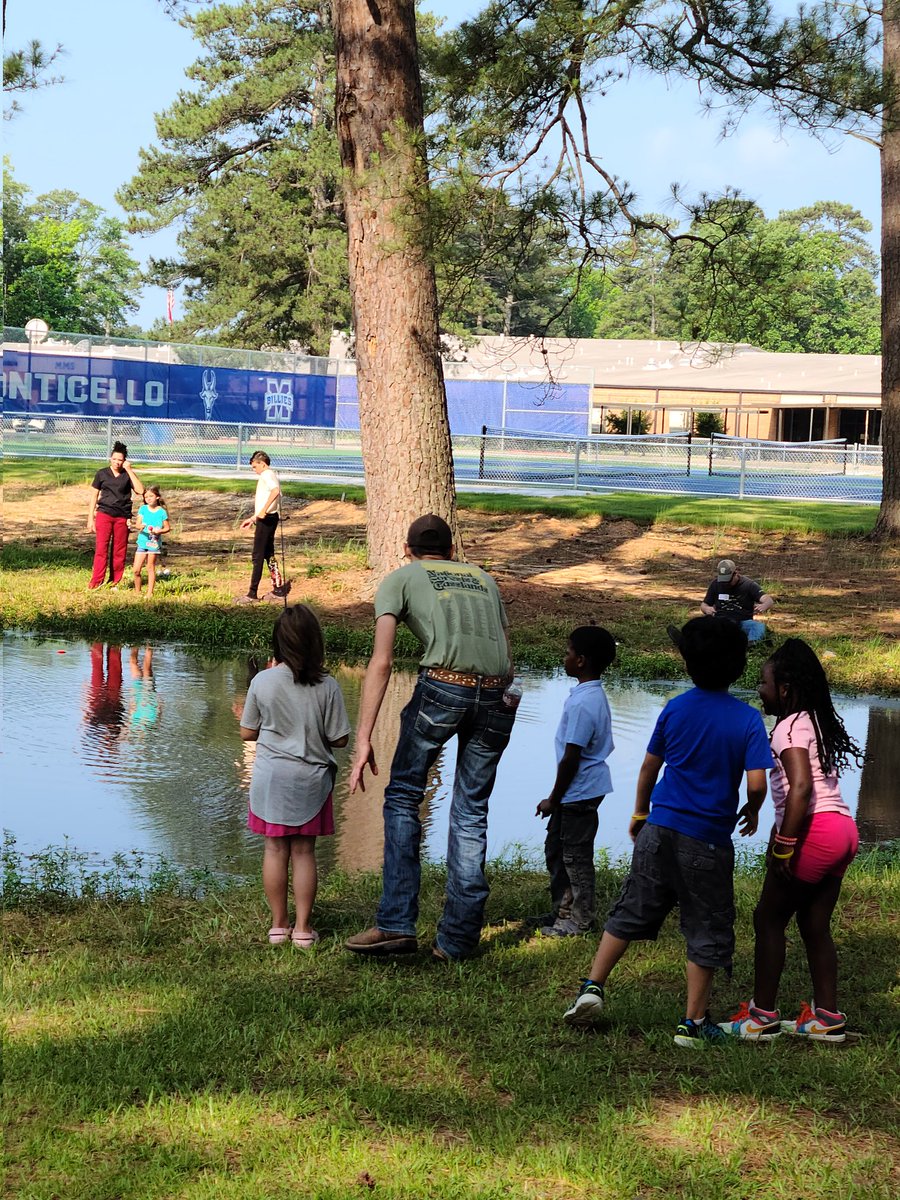 Elena Rubino tweet media