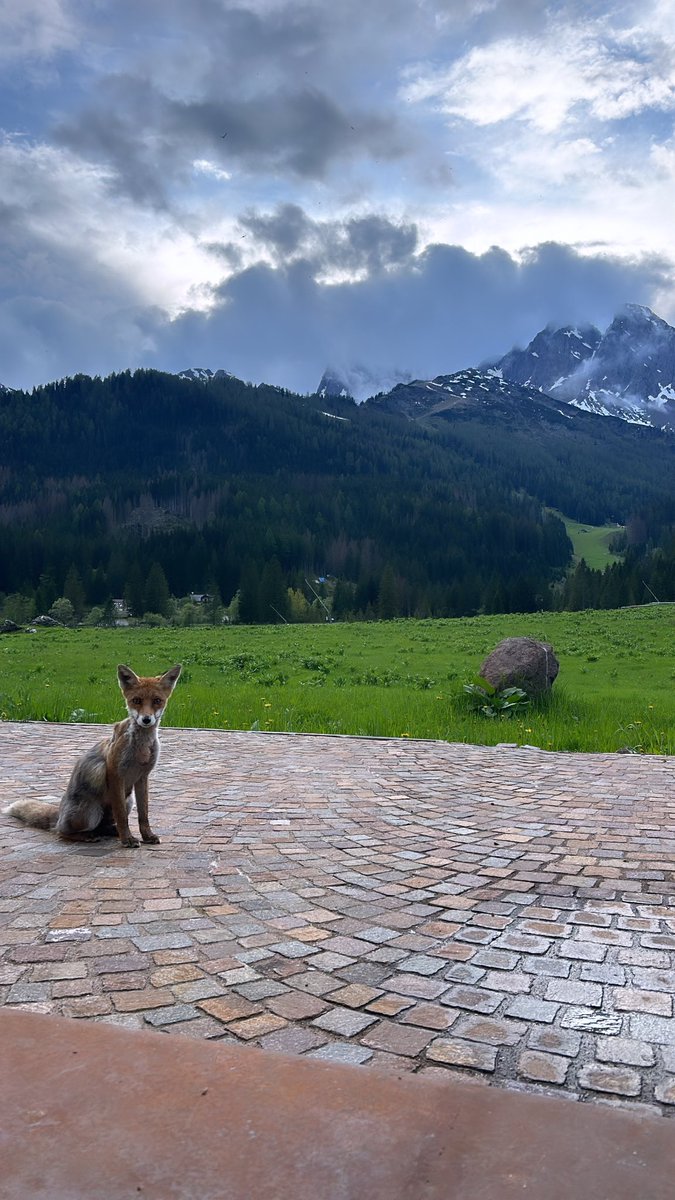Not only the riders from <a href="/soudalquickstep/">Soudal Quick-Step Pro Cycling Team</a> likes our food at the <a href="/giroditalia/">Giro d'Italia</a> ! 🩷🇮🇹