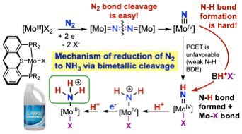 Goldman Group (@goldman_group) on Twitter photo A major team effort (Rutgers, UNC and AUB)! Synthesis and multi-pronged study of a new Mo catalyst for N2 to NH3 yields deeper insight into the workings of such catalysts. Congrats team leadsĀ <a href="/random_chemist/">Santanu Malakar</a> <a href="/souvik_mndl/">Souvik Mandal</a> <a href="/SamuelZhou5/">Samuel Zhou</a> chemrxiv.org/engage/chemrxiā¦
ļæ¼ A major team effort (Rutgers, UNC and AUB)! Synthesis and multi-pronged study of a new Mo catalyst for N2 to NH3 yields deeper insight into the workings of such catalysts. Congrats team leadsĀ <a href="/random_chemist/">Santanu Malakar</a> <a href="/souvik_mndl/">Souvik Mandal</a> <a href="/SamuelZhou5/">Samuel Zhou</a> chemrxiv.org/engage/chemrxiā¦
ļæ¼