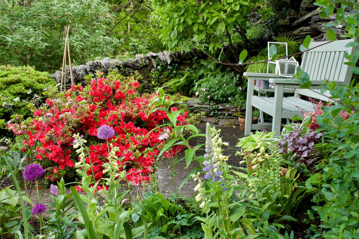 I find all this ‘metaphorical landscape’ stuff at #RHSChelsea a little pretentious. I’m sure if I thought hard enough I could come up with a metaphor for my little garden. How about the clash and contradiction garden, a symbol for the fact that I haven’t got a clue