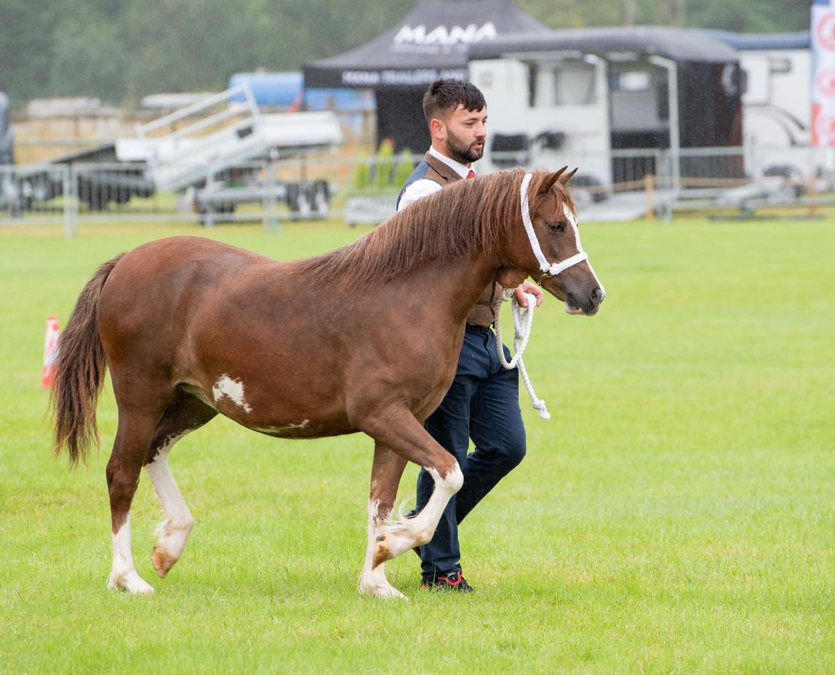 breconshowsec's tweet image. 2024 Show Schedule is now available online: 

breconcountyshow.co.uk/Schedule%20May…