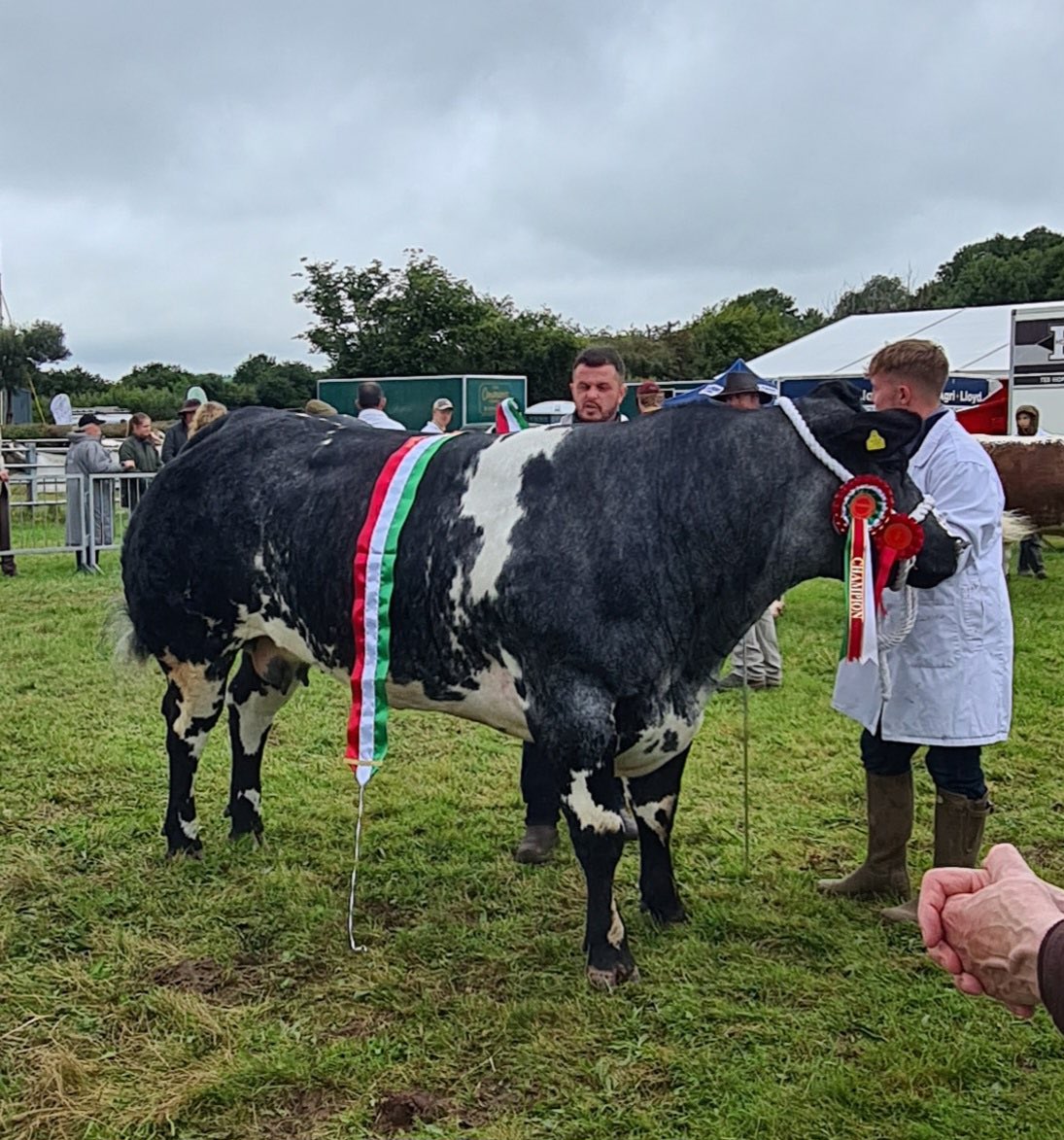 breconshowsec's tweet image. 2024 Show Schedule is now available online: 

breconcountyshow.co.uk/Schedule%20May…