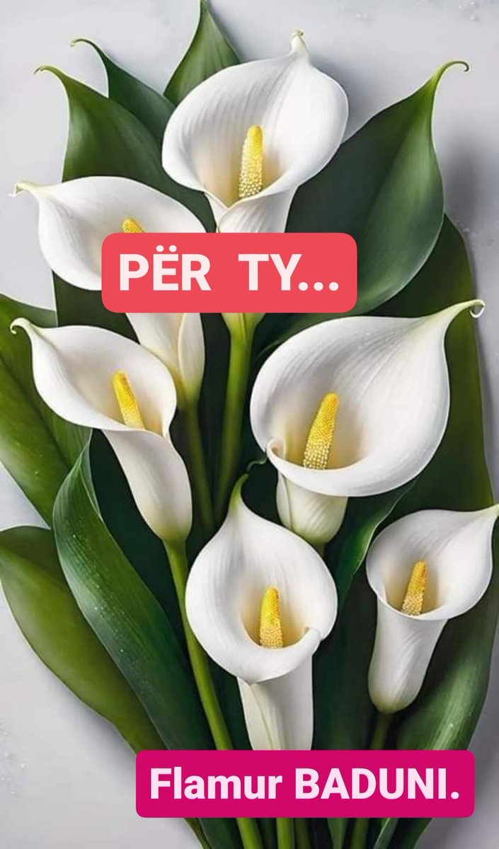 FLAMUR BADUNI (@flamurbaduni1) on Twitter photo 