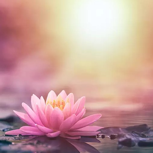 THE TIME OF RESTITUTION HAS ARRIVED. All that was taken, hidden, inverted, or distorted, is being divinely restored. That which was thrust upon you against your will, is being diverted. The truth is triumphant, as the Golden Age of Light is here. Let the celebration begin!