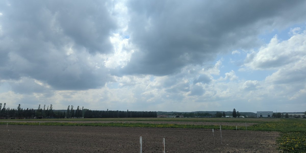 I don't know if I've ever experienced a wind this hot and strong! 

#unnerving #WeatherIntrigue #ocrcnl #BringOnTheRain #StormFan