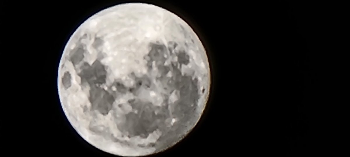 بـساطة التفكـير🗨 tweet media