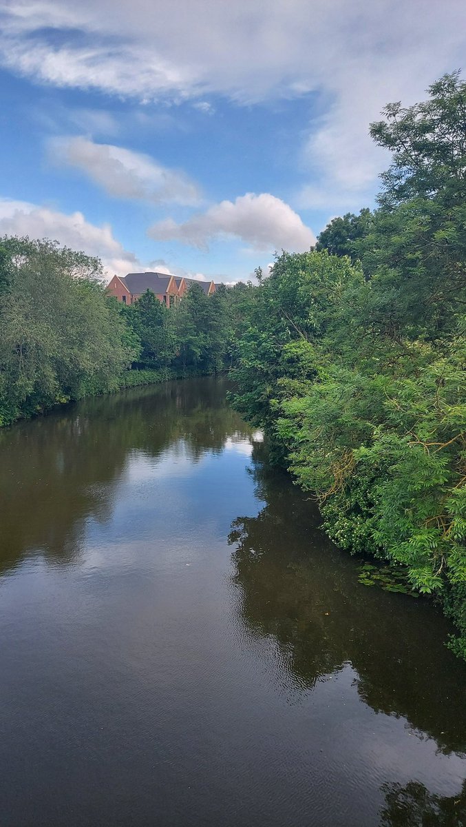 DavidRobertshaw's tweet photo. As part of mental health &amp; wellbeing, I completed my 5k walk today for the @MotoSolutions  global challenge.
As homeworkers we should take more time to get away from our desks. Great walk along the River Medway and catching up with the Fremlins Gemlin 
#MotoSolutionsLife https://t.co/aQnXe6MvQy