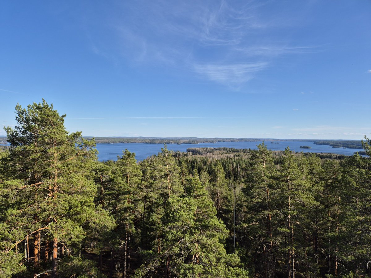 rampastring's tweet photo. Entinen puhelin alkoi olla 6-vuotiaana ärsyttävän hidas nykyisille sovelluksille, joten ostin uuden. Samalla saan entistä parempia luontokuvia 🥰 https://t.co/ZX9E2EFqSE