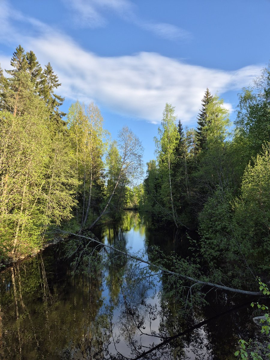 rampastring's tweet photo. Entinen puhelin alkoi olla 6-vuotiaana ärsyttävän hidas nykyisille sovelluksille, joten ostin uuden. Samalla saan entistä parempia luontokuvia 🥰 https://t.co/ZX9E2EFqSE