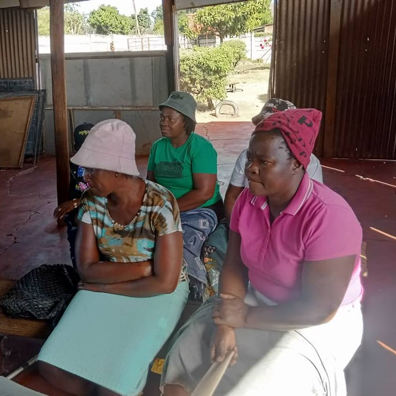 Today, @wlsazw conducted training sessions on Debt and Gender, Tax Justice, and Unpaid Care Work in Sakubva and Chikanga in Mutare District. The sessions were attended by 40 women who are members of #WLSA Empowerment hubs. #GenderJustice #EmpowermentHubs