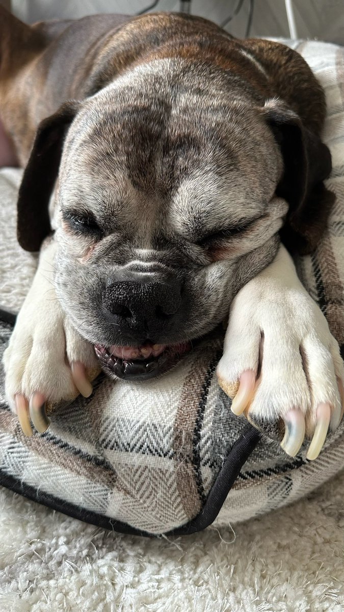 delphykat.nft 🇨🇦 tweet media