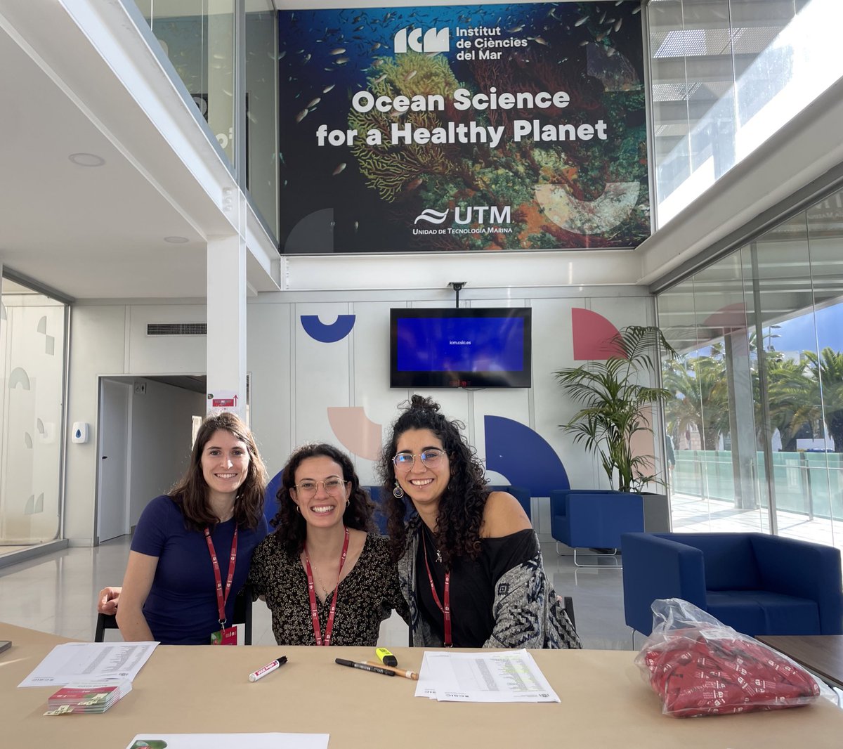 Maria Estarellas tweet media