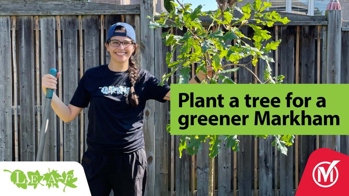 Plant tress for less! Our partner @LEAF makes planting the trees a breeze with their subsidized planting program. Markham residents get: - Certified arborist consultation - Tree recommendations - Full-service planting/delivery - Care advice Details: bit.ly/4bDSUcD