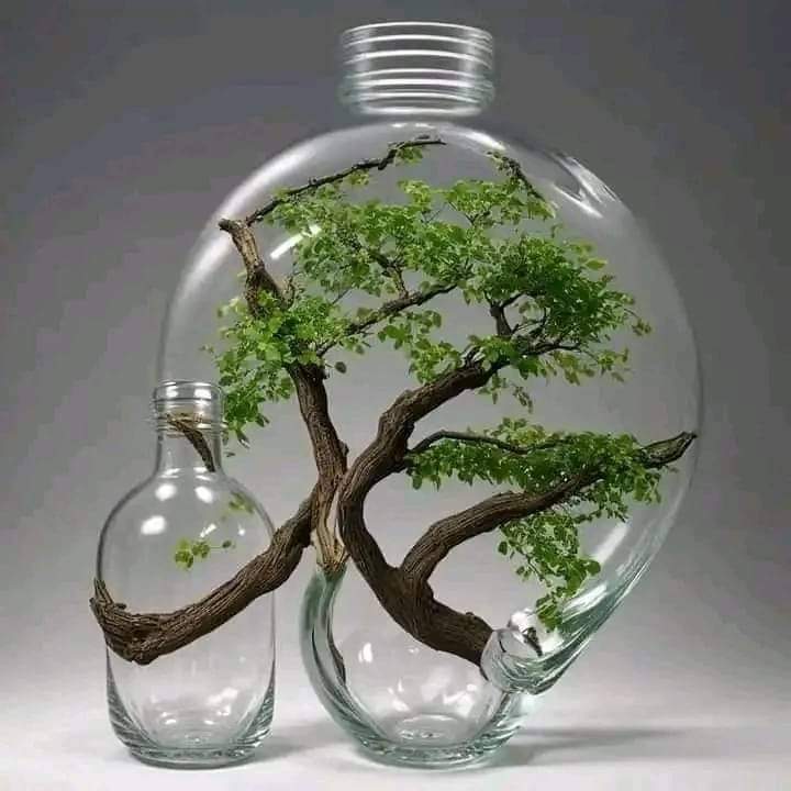 #خاتم_النبیین_محمّدﷺّ
دُکھوں نے گھیر رکھا ہے، غموں کی دھوپ ہے سر پر
ٹھکانہ گُنبدِ خِضراء کے سائے میں عطا کیجیے آقاﷺ

💞 صلی اللہ علیہ وآلہ وسلم 💞