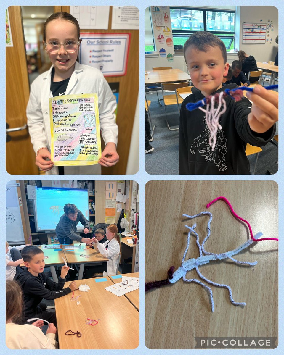 Then, it was back to our class (lab) to identify which invertebrates live in the river. We worked out the river’s health (good!) and then finished by creating a caseless caddie fly! @ClydeRF @DYWScot @LfSScotland #LaudatoSiSchoolsScotlandChangeForGood