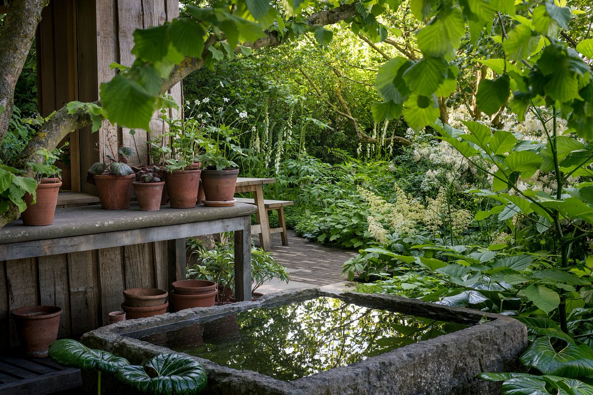 It's #RHSChelsea Flower Show week and we're proud that our long standing supporters, @NGSOpenGardens, have a stunning show garden designed by @tomstuartsmith which has been awarded an RHS Gold Medal. 👏 Help it win the People's Choice award by voting: bit.ly/BBCPeoplesChoi…