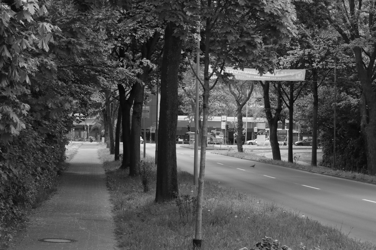 #photo #photography #blackandwhite #landscape #nature #monochrome #landscapephotography #trees #blackandwhitephotography #street #station