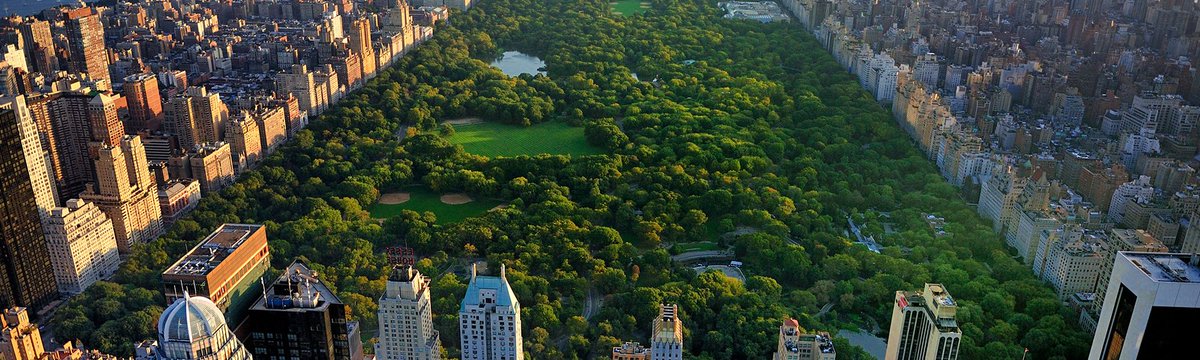 From lush lawns to vibrant landscapes, Central Park is a true urban oasis. 🌿 Learn the secrets to its pristine grounds — and see how Toro equipment helps maintain this iconic landmark. Read more now: toro.biz/6017jlOqS