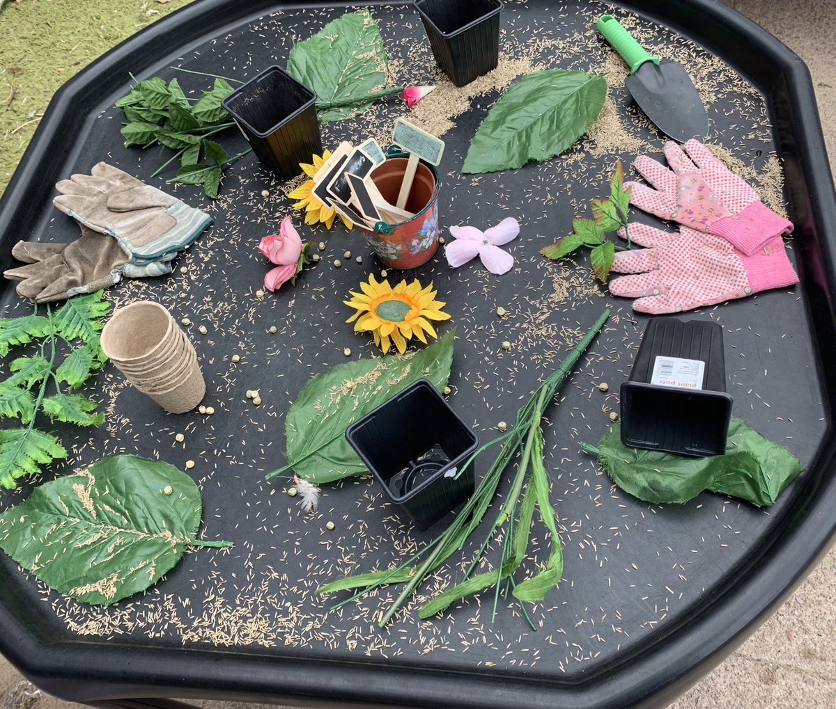 🌱🌻🌦️