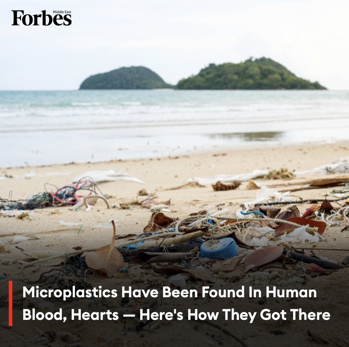 A recent research has shown that microscopic pieces of plastic have made their way into the human blood and organs through polluted food, water and air. #Forbes For more details: 🔗 on.forbesmiddleeast.com/grq8