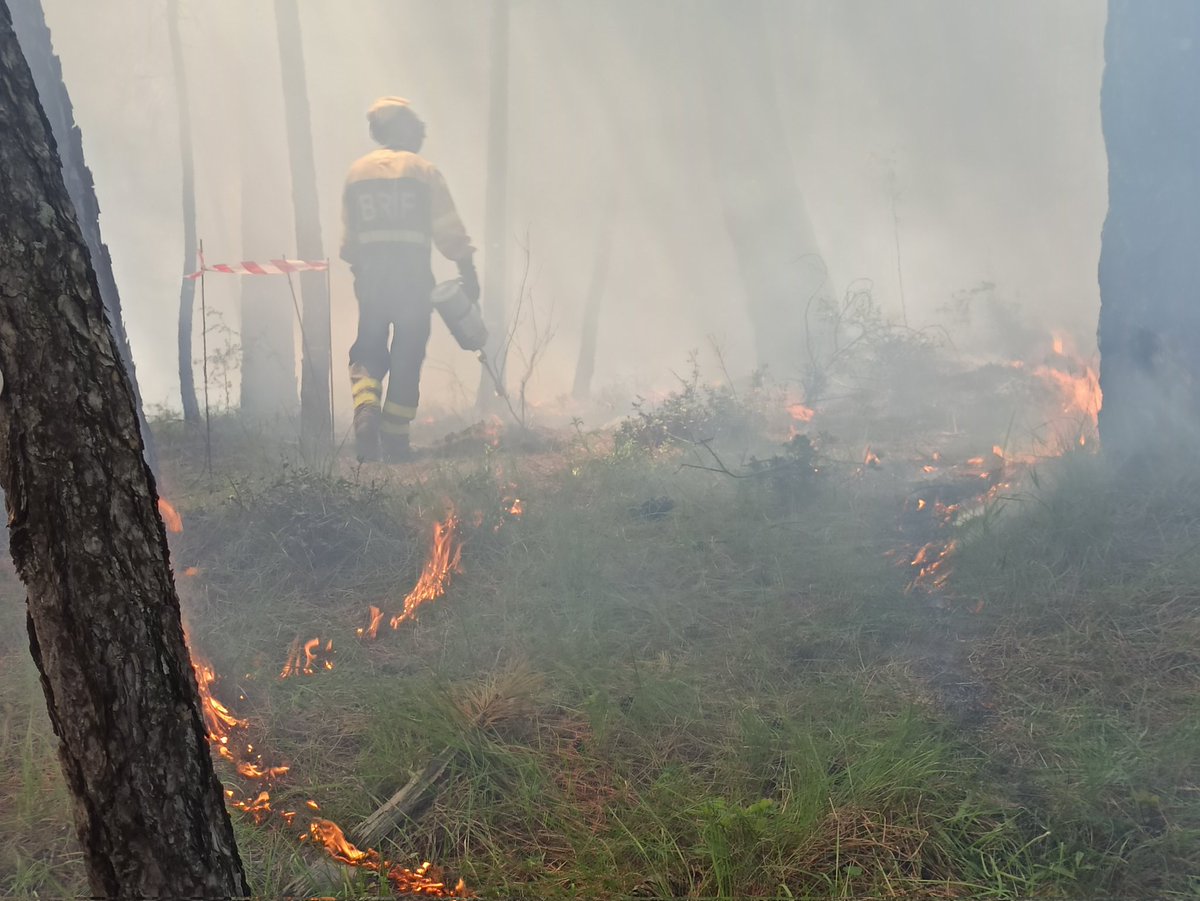 Hoy #Rxfire con @BRIFpradotwit en el contexto de transferencia presupuestaria @mitecogob @INIA_es para ver el efecto de repetición del tratamiento de quema en la red de parcelas permanentes @JCCMCuenca.@Plan_INFOCAM Magnífica jornada! Mañana más