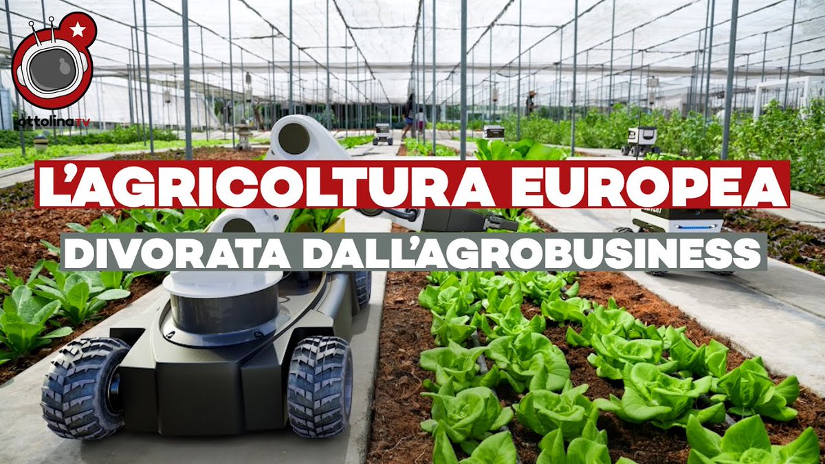 L’AGRICOLTURA EUROPEA divorata dall’agrobusiness con Dario Dongo, attivista nel settore agricolo e per le disabilità attraverso l’associazione @egalite_org >> ottolinatv.it/2024/05/22/lag… #agricoltura #distribuzione #sementi #europee2024
