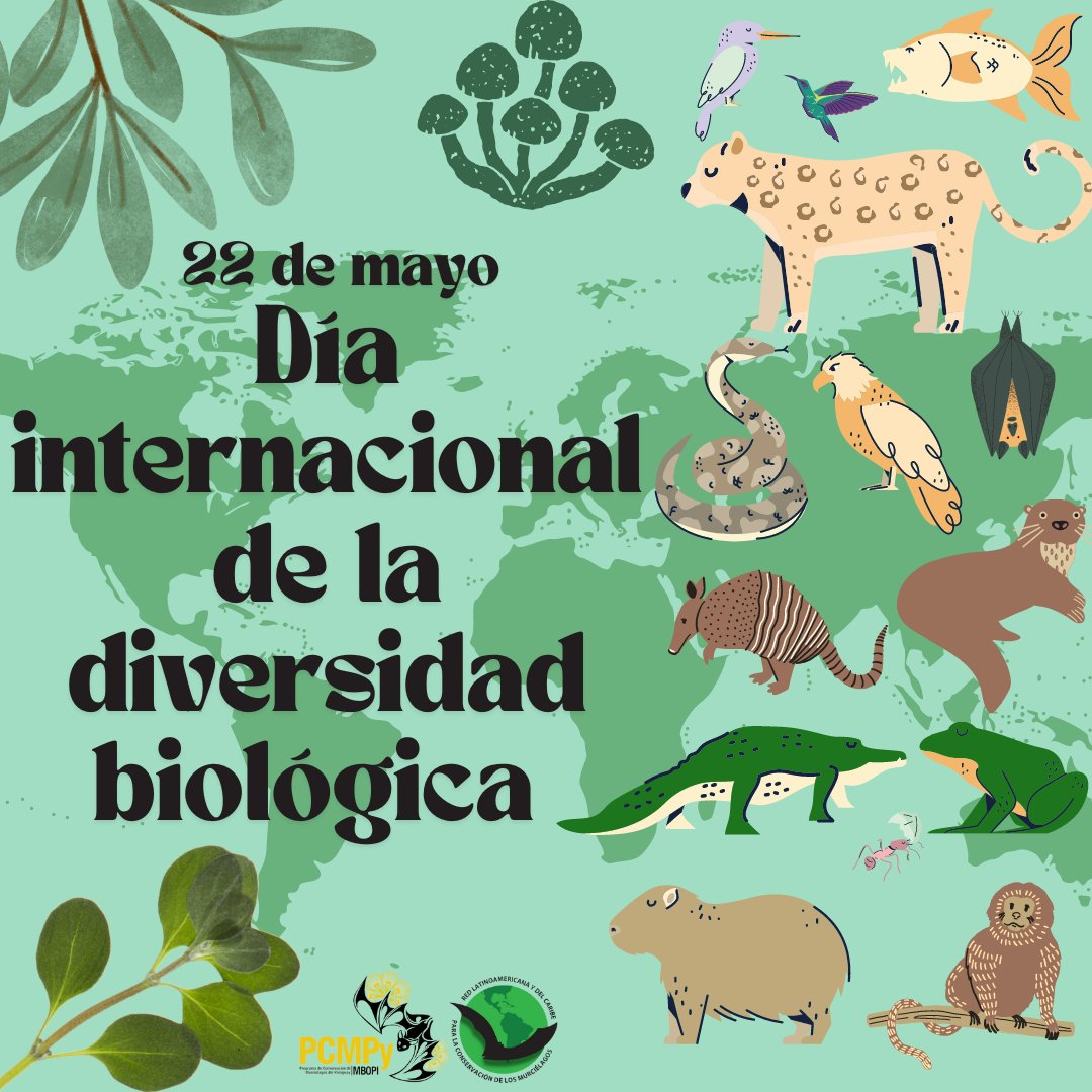 El 22 de mayo de cada año se conmemora el Día Mundial de la Biodiversidad, en este día se busca concienciar a la población mundial acerca de la importancia de los recursos biológicos como la fauna, flora y funga, además de la diversidad genética que se puede encontrar en ellas.