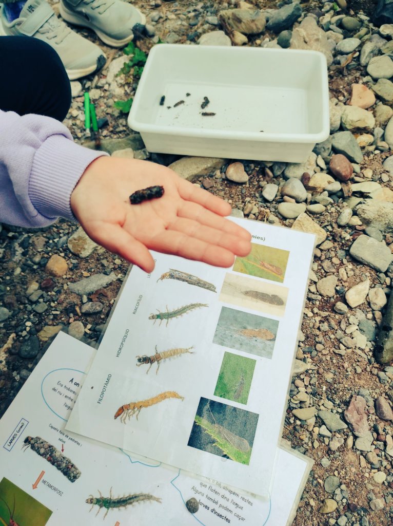 EAnglesola's tweet photo. Primer dia de #colònies per #EI4 i #EI5 de la #ComunitatDePetites. #Descoberta al riu entre #insectes efímers i tricòpters a #LaSala de @Fundperetarres al #prepirineu! Esquivant la pluja amb un dia radiant a #LaPoblaDeLIllet! https://t.co/8KA8kyrgBc