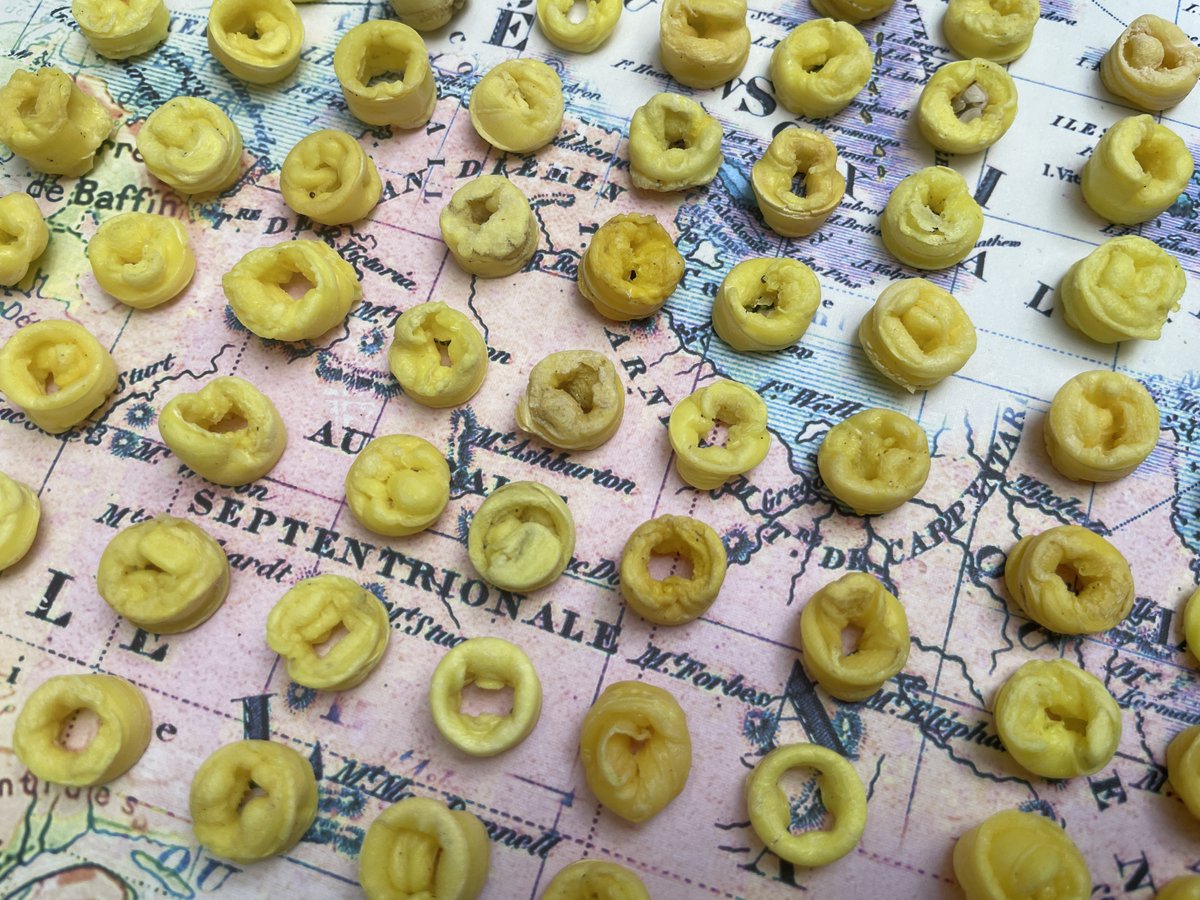 Here's a mystery we're still trying to solve. What are these? They're roughly ½" across, hard plastic, always yellow and are washing up on beaches in Cornwall and the Isles of Scilly, along the south coast of the UK, in Ireland, France and probably elsewhere too.