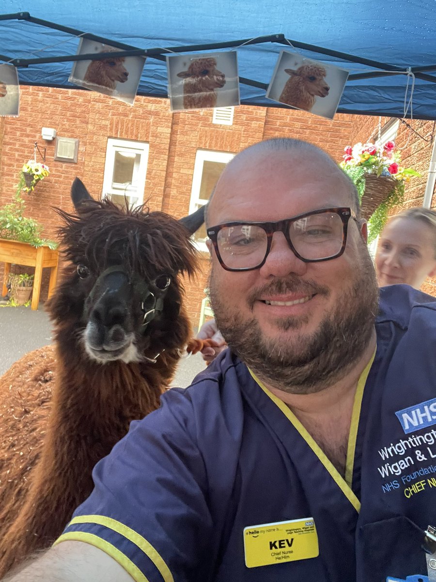 Alpacas on our @JHRUwwlcommuni1 Unit today @MellyC please be proud- the look of joy these brought our patients (and staff) today was truly special- massive thank you for going above and beyond 🤩 @annemarie_mcg @WWLNHS @gaynorwhalley @maluki_f @p_d_howard @mrs_wannell