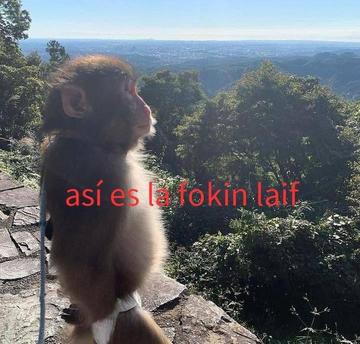 shioyh's tweet photo. hoy me siento como un limón seco olvidado en el refri https://t.co/7Kr0pMScHW