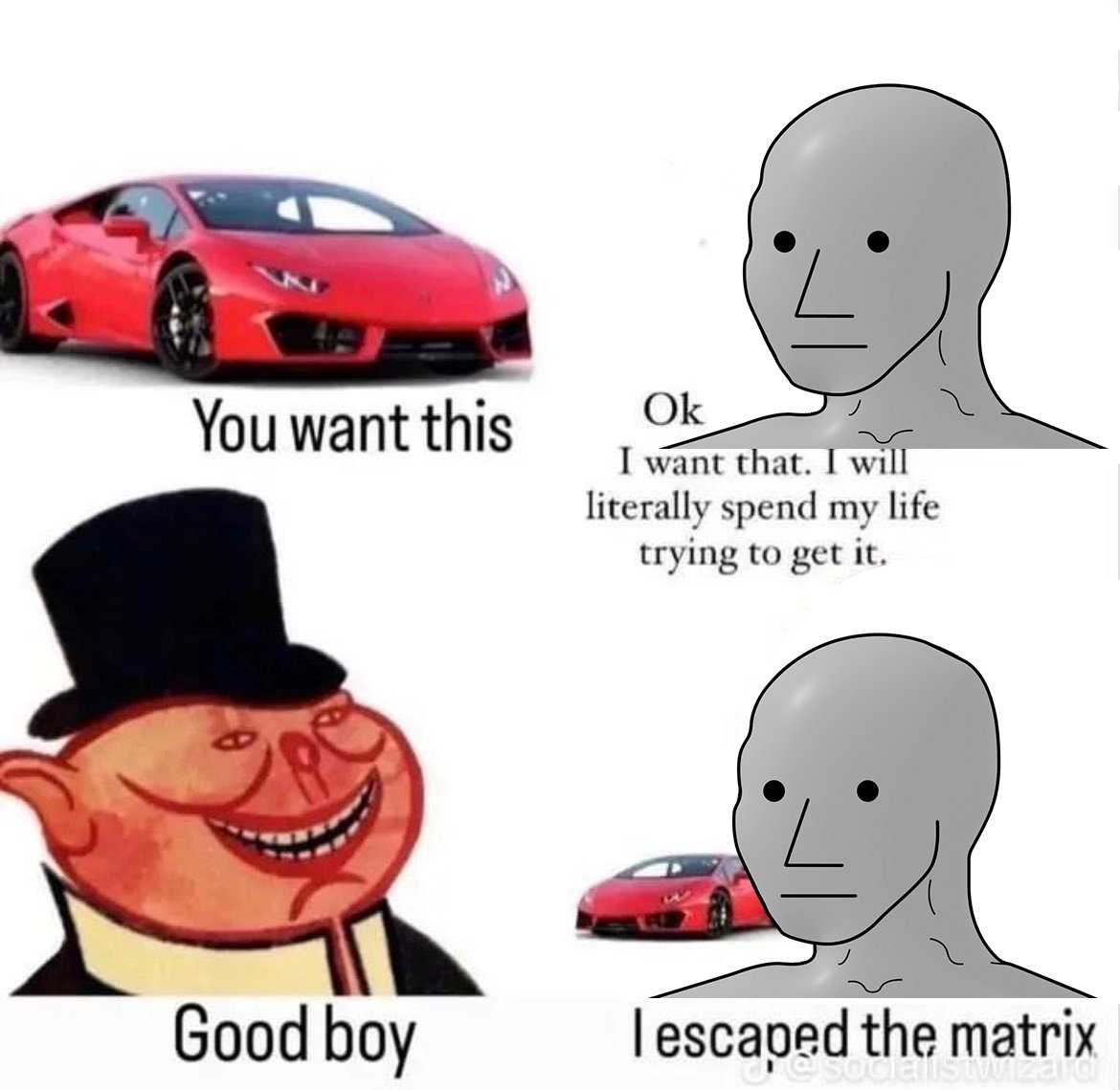 You haven't escaped the Matrix because you have a Lambo, you're still an $NPC. Stop trying to run from the matrix, embrace it.