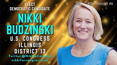 #DemVoice1 #ProudBlue 

🧵Illinois District 13 - Of the many issues Nikki Budzinski is passionate about, one of them is health care.  Americans need to see doctors for various reasons & care should not be limited to those who can 

1/5