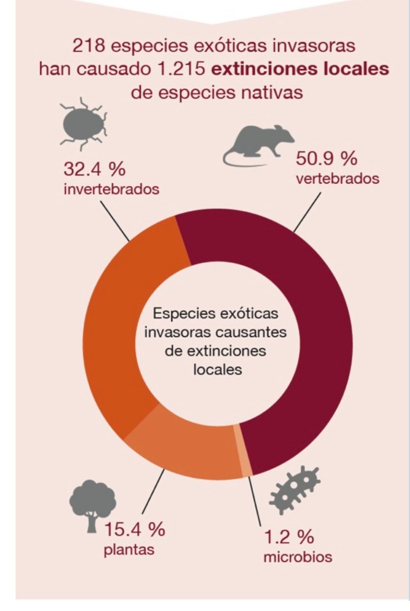 #DíaDeLaBiodiversidad | En 2019, la evaluación del @IPBES concluyó que las #EspeciesExóticasInvasoras son uno de los cinco principales impulsores directos de la pérdida de biodiversidad 🚨🆘 Figura REFP.3. Magnitud de los problemas causados⬇️ ipbes.net/ias