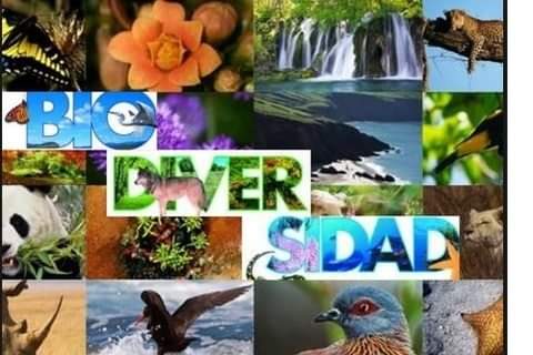 22 de mayo, día internacional de la Diversidad Biológica