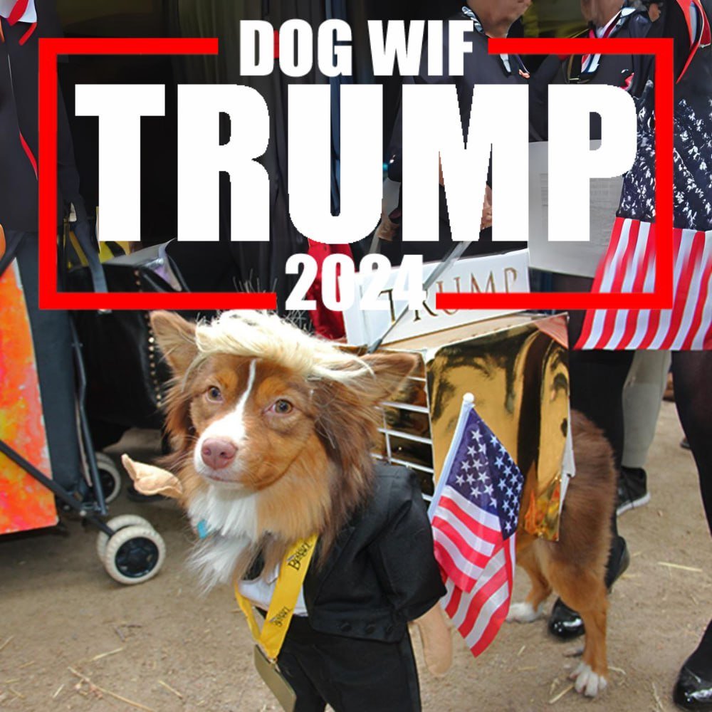 5X💎 with $DogWifTrump tapped 390K mc now 🔥🔥🔥 @DogWifTrump_ETH Posted on TG dexscreener.com/ethereum/0xfd3…