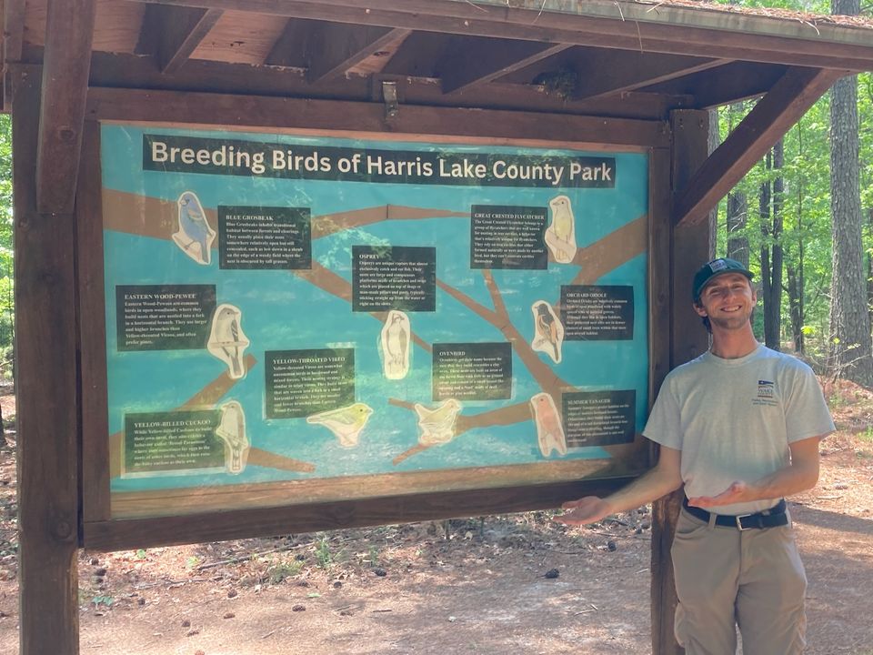 Spring has sprung, and nesting season is in full swing! Learn more about the nesting strategies of the birds that call Harris Lake County Park home? Check out the fabulous kiosk created by Park Aide Zane Fish located in the parking lot for the disc golf course and fishing pond.