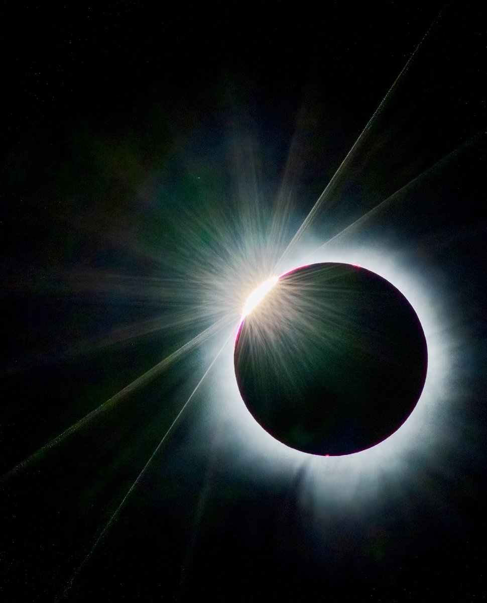 John McGauley tweet media