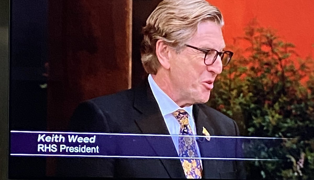 Well this is just wonderful…