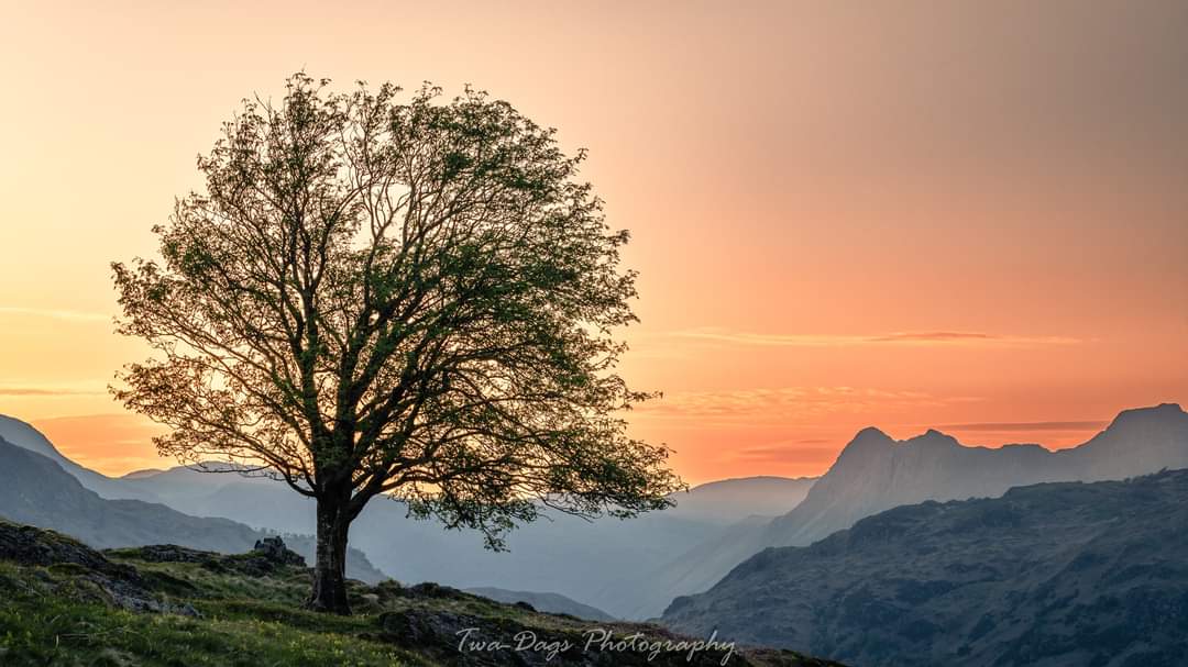 A rowan, some Langdale Pikes and a sunset. That's about it really.

#landscapephotography #ThePhotoHour #LakeDistrict #Cumbria