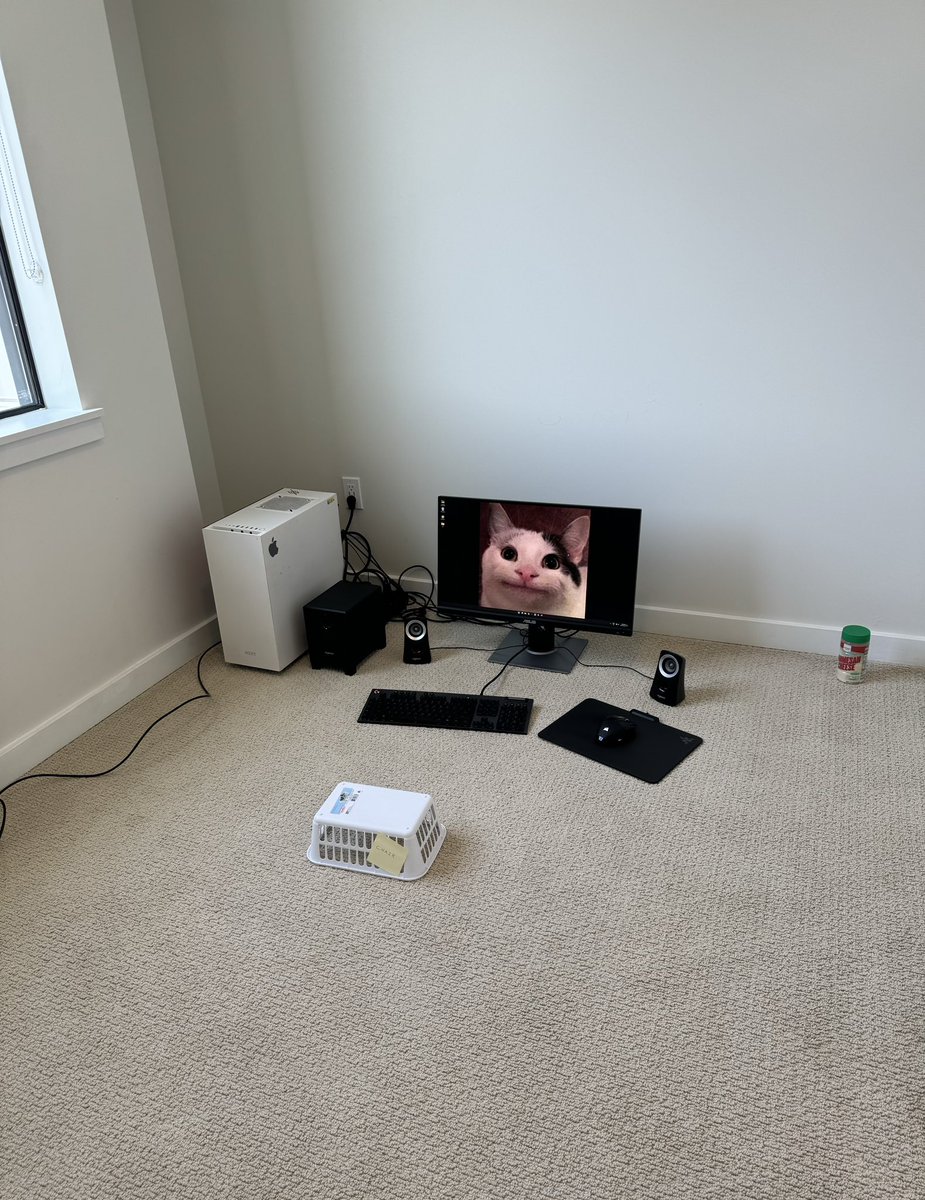 Rate my setup