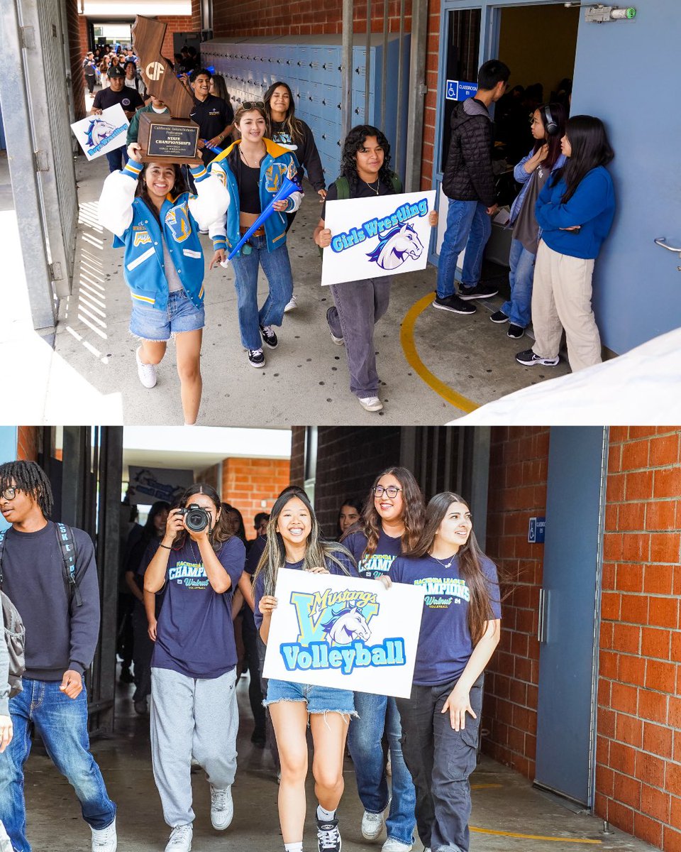 Ryan Maine tweet media