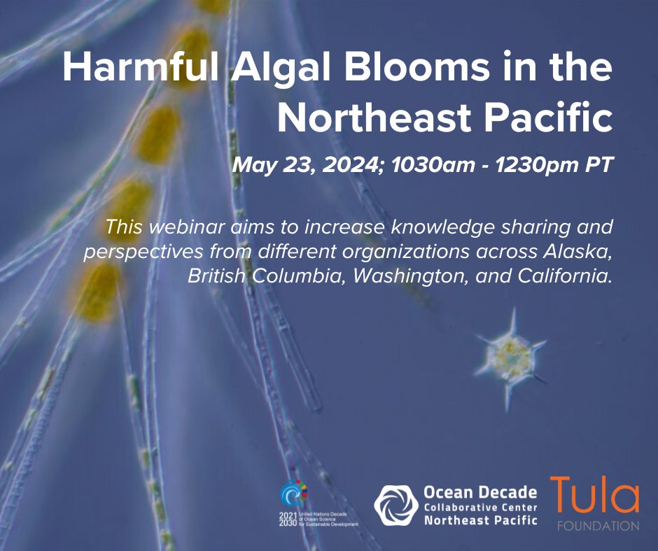 Tomorrow at 1030am PT ✨Join us as we discuss different initiatives that monitor #HarmfulAlgalBlooms across the Northeast Pacific 🦪🦀🌊 Register for FREE at the link 🔗tinyurl.com/mrx3vmd9