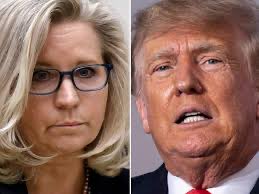 kangaroos991's tweet photo. Cheney: “To my Republican colleagues who are defending the indefensible, there'll come a time when Donald Trump is gone, but your dishonor will remain.” 

Raise a ✋ if you agree with Liz! 🙋‍♂️

#NeverForgetJan6 #VoteBlueIn2024 💙 https://t.co/c6v1vZC5ct